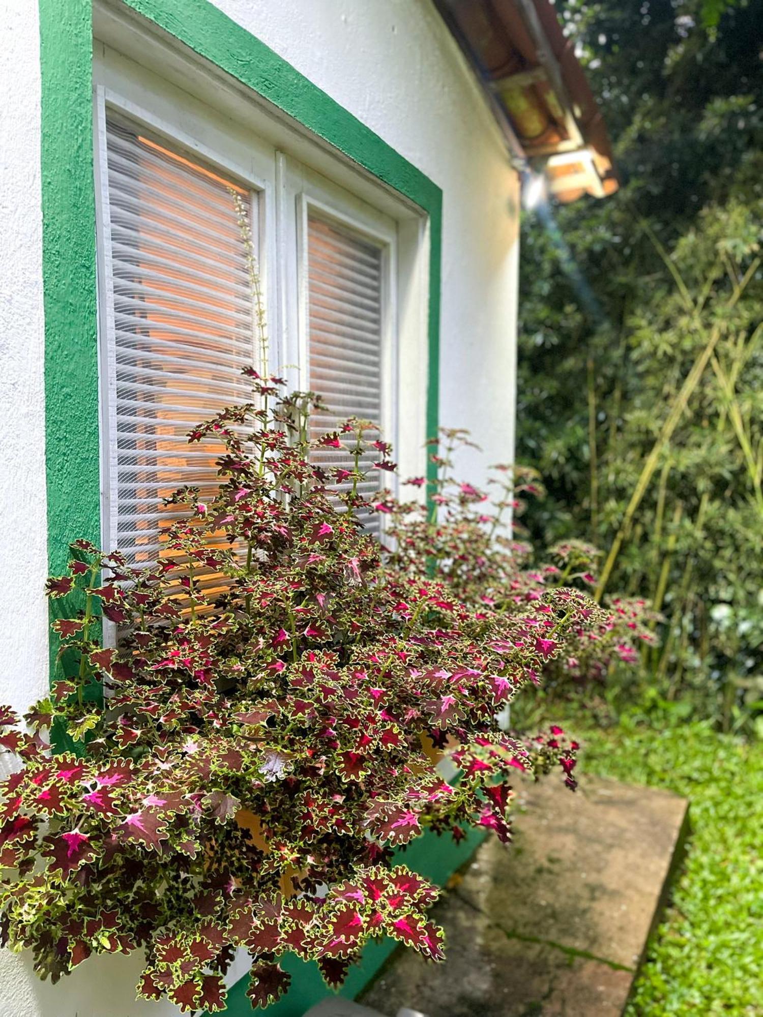 Hotel Olho D'Agua Pousada Guaramiranga Exteriér fotografie